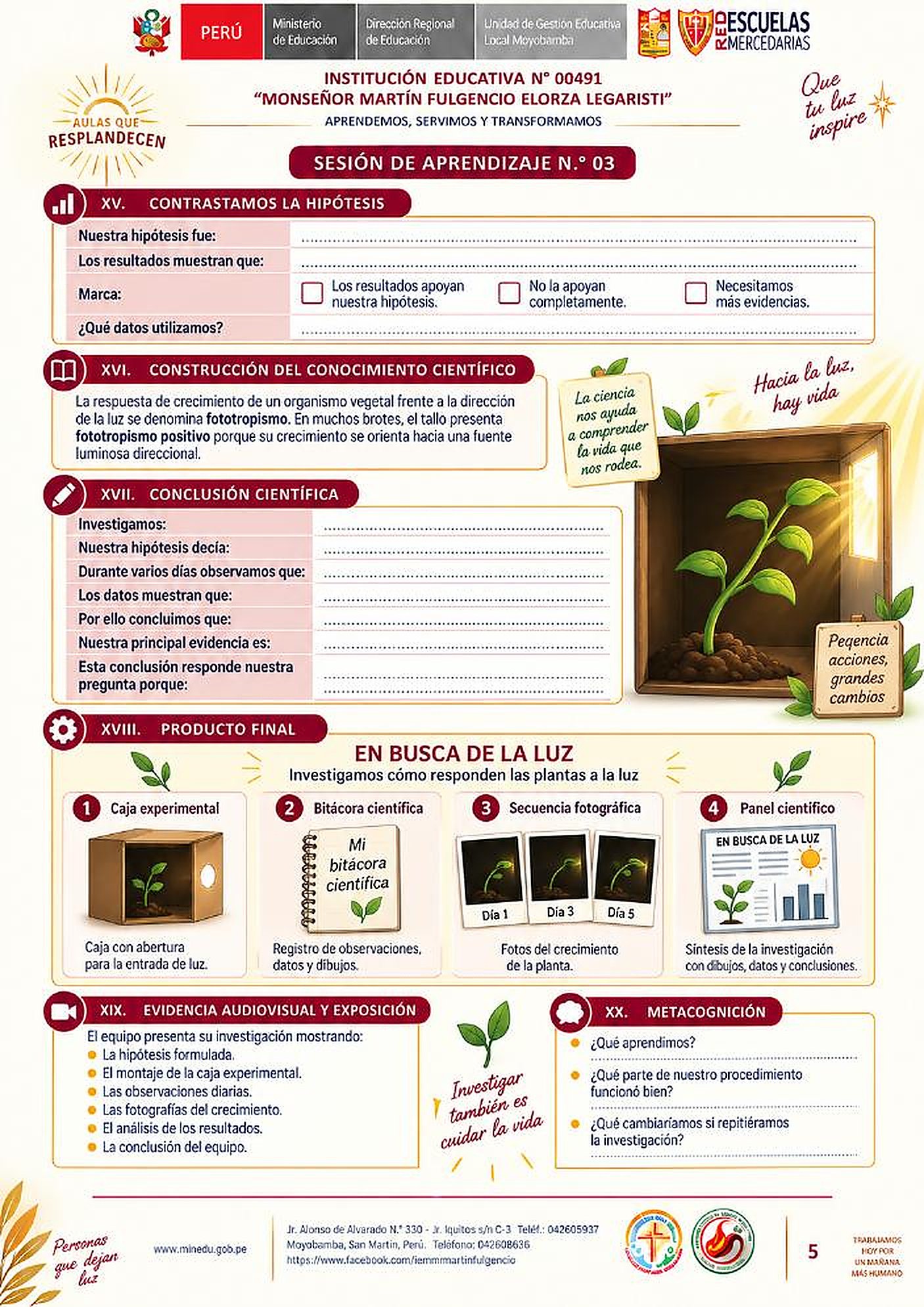 Conclusión científica